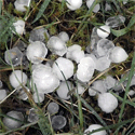 Hagel